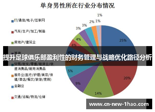 提升足球俱乐部盈利性的财务管理与战略优化路径分析