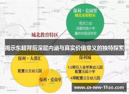 揭示东超背后深层内涵与真实价值意义的独特探索