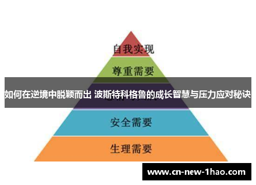 如何在逆境中脱颖而出 波斯特科格鲁的成长智慧与压力应对秘诀