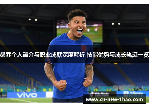 桑乔个人简介与职业成就深度解析 技能优势与成长轨迹一览