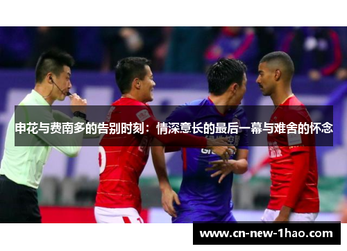 申花与费南多的告别时刻:情深意长的最后一幕与难舍的怀念 申花与费南多的告别时刻:情深意长的最后一幕与难舍的怀念