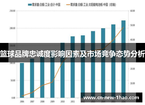 篮球品牌忠诚度影响因素及市场竞争态势分析