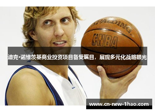 迪克·诺维茨基商业投资项目备受瞩目，展现多元化战略眼光