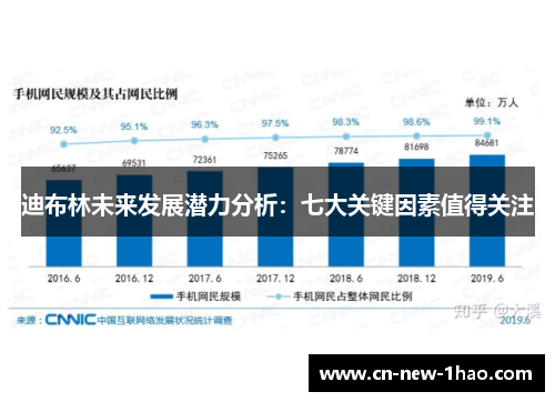 迪布林未来发展潜力分析：七大关键因素值得关注